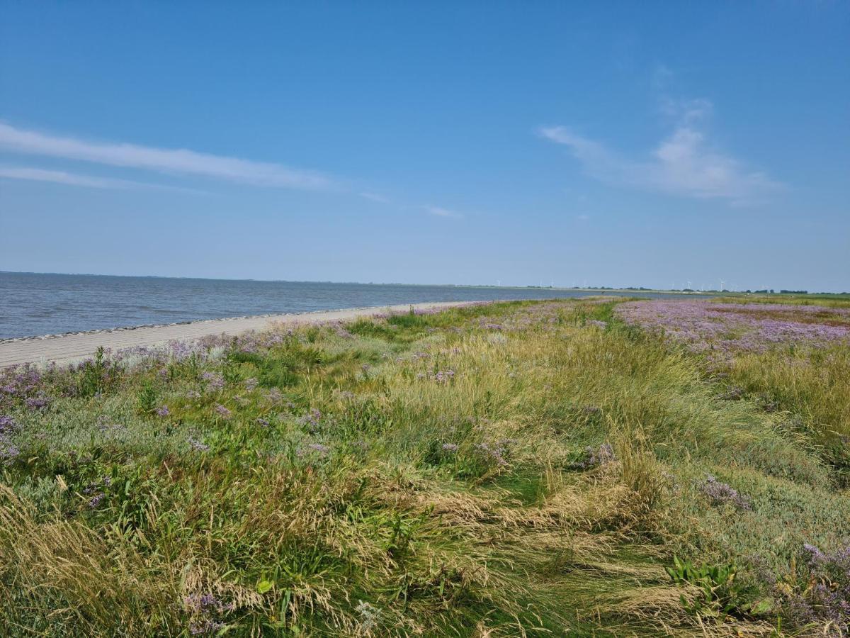 Haus Meererleben - Urlaub Mit Hund An Der Nordsee Schweiburg Eksteriør bilde
