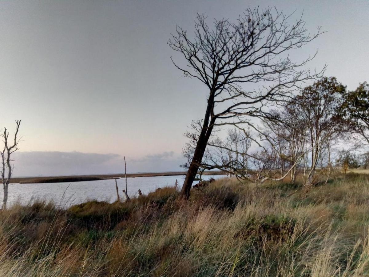 Haus Meererleben - Urlaub Mit Hund An Der Nordsee Schweiburg Eksteriør bilde